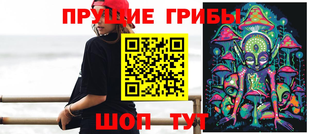 Галлюциногенные грибы GOLDEN TEACHER  Вход с VPN  Краснознаменск 