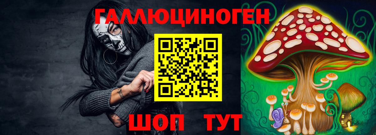 Псилоцибиновые грибы мицелий Краснознаменск