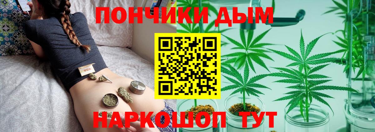 Бошки Шишки марихуана  Бошки марихуана индика  Краснознаменск  Каннабис ГИДРОПОН  Вход с VPN 